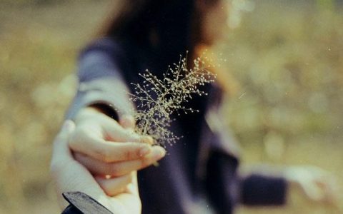 没本钱怎么在手机一天赚500，先完成一天赚100小目标