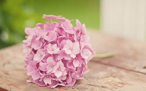 网络兼职挣钱，兼职可以让你日赚百元