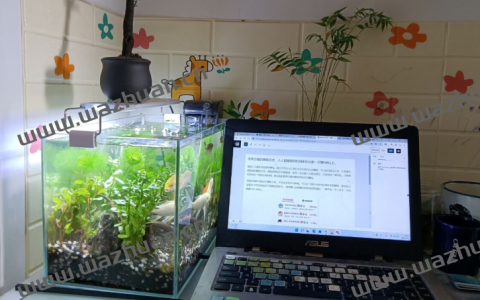 非常方便的赚钱方法，人人都能做到利用手机在家一天赚100以上。