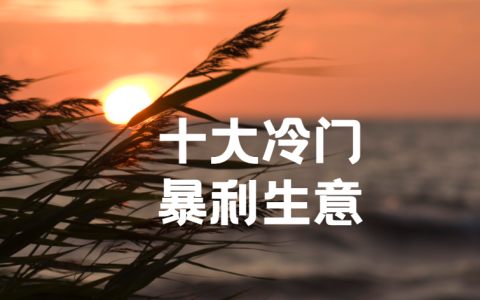 十大冷门暴利生意，适合穷人最快的挣钱方法