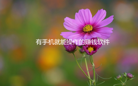 有手机就能操作的赚钱软件，1元2元5元反复提现的游戏