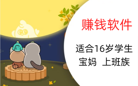 适合16岁学生，宝妈，上班族的赚钱软件