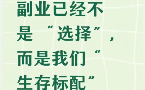 2027年，副业已经不是 “选择”，而是我们“生存标配”
