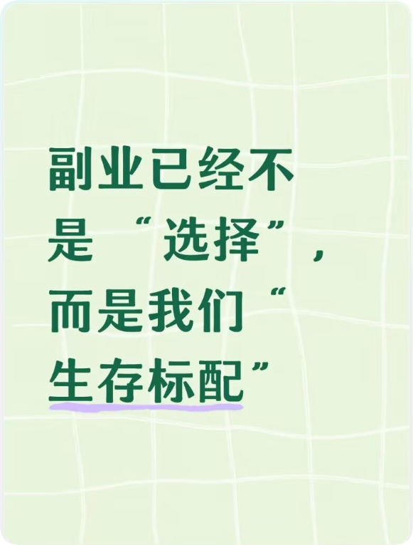 2027年,副业已经不是 “选择”,而是我们“生存标配”